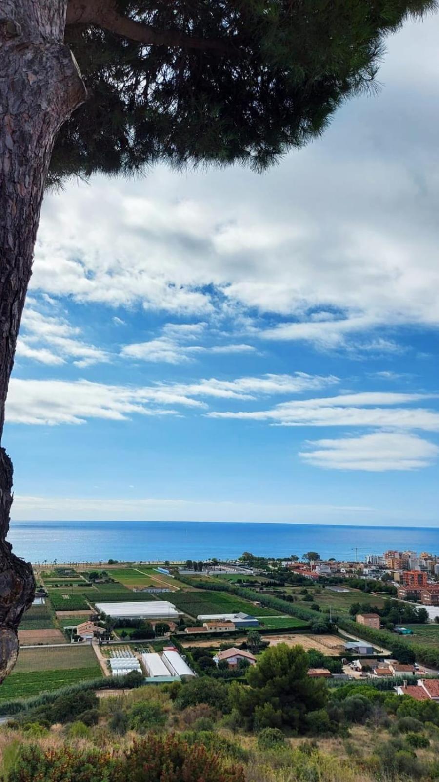 Pura Vida Piscina Barbacoa Y Vistas Al Mar Pineda de Mar